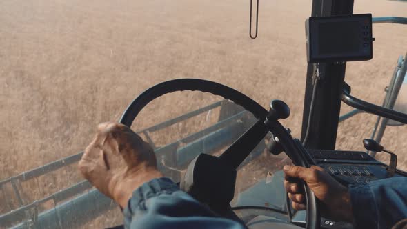 Man Driving a Combine and Harvesting the Wheat. alt