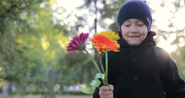 Little Boy Walking in a Park with Flowers alt