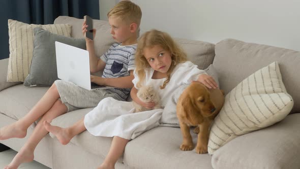 Blonde children playing with a cocker spaniel puppy and Scottish Fold kitty on sofa