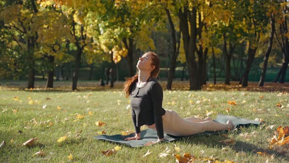 Young Woman Doing Chaturanga Cobra and Warrior Poses in Park on a Yoga Mat alt