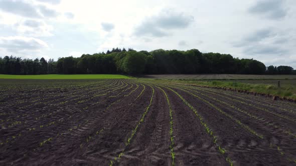 Cropland at the 'Lochemse berg' in the Achterhoek, rural area in Gelderland, the Netherlands, Aerial alt