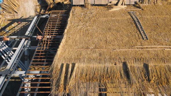 Aerial View the Roof of a Large House with Dry Straw and Hay. Workers Who Install the Roof alt