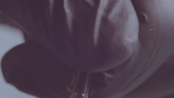 A Man in Black Rubber Gloves Opens an Ampoule with a Medicine Closeup alt