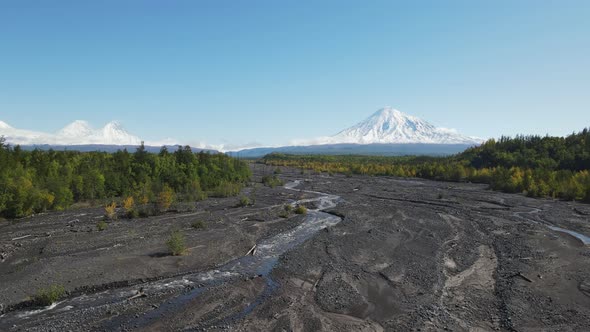 Forest and volcanoes covered with snow. 