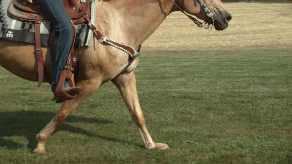 Horse running in super slow motion, shot on the Phantom Flex 4K at 1000fps alt