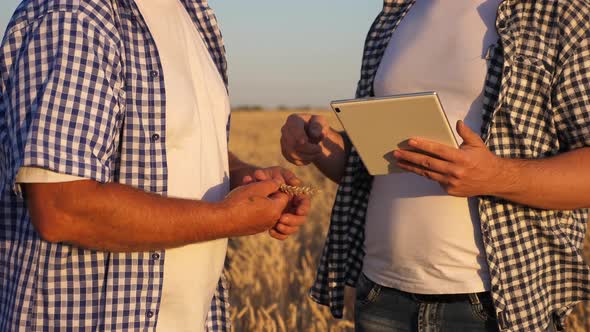 Farmer and Businessman with Tablet Working As a Team in Field. Agronomist and Farmer alt