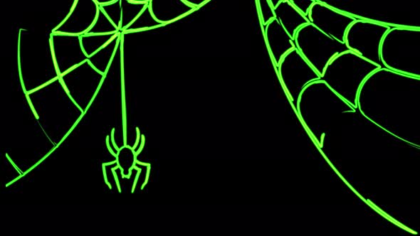Abstract seamless animation of 4K neon lines Animation of Halloween spider