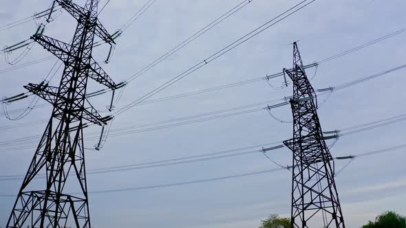Transmission lines in nature alt