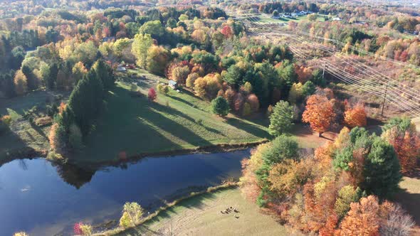 Aerial Drone Shot Flying Over a Pristine Farm Pond with Fall Colors