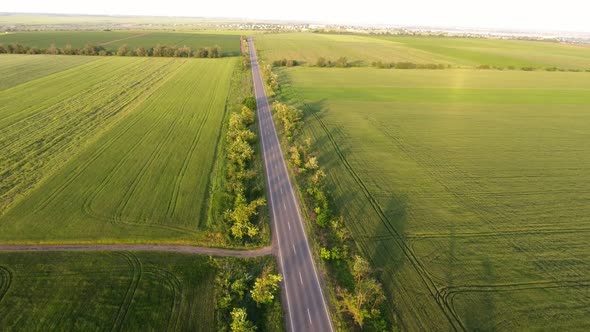 Aerial Shot of a Straight Highway Running Among Green Fields in Summer in Slo-mo 