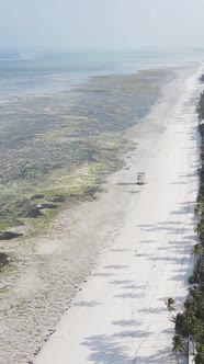 Tanzania  Vertical Video of Low Tide in the Ocean Near the Coast of Zanzibar Slow Motion alt