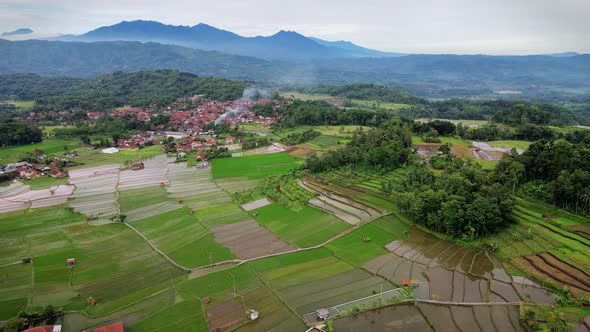 The landscape with the expanse of rice fields, settlements and hills
