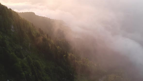 Mountains Covered with Coniferous Trees and White Mist