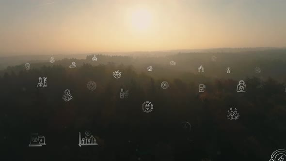 Ecological Green Energy Icons Concept Drone Shot Of Forrest Sunset