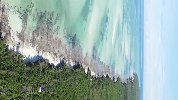 Vertical Video of the Ocean Near the Coast of Zanzibar Tanzania Aerial View alt
