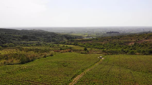 Aerial Drone View Over Vineyards Towards Agricultural Fields During Sunset