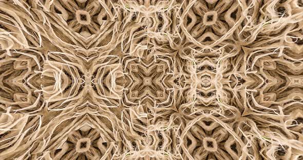 abstract brown kaleidoscope animation.Abstract geometric background animation.