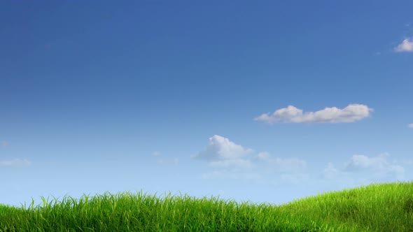 Meadow and Time-Lapse Sky Background