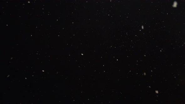 Seamless Footage of Snow Falling From Night Sky