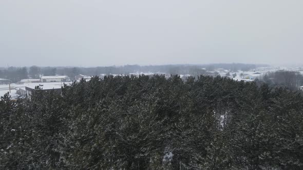 Aerial view over forest of pine trees through snowfall to a rural community.