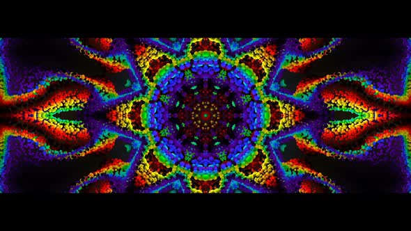 Colorful Flower Widescreen