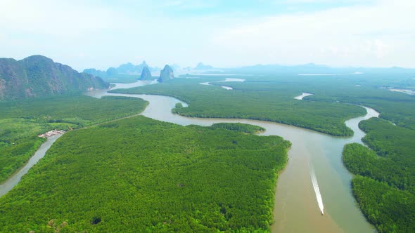 Drones are flying over winding rivers and large mangrove forests alt