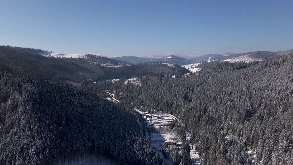 Scenic Landscape of Winter Carpathians Forest and Mountain Valleys Aerial Drone View  Video alt