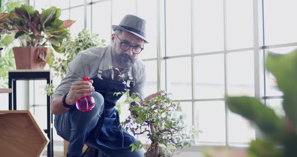 Slow Motion Man With Tree alt