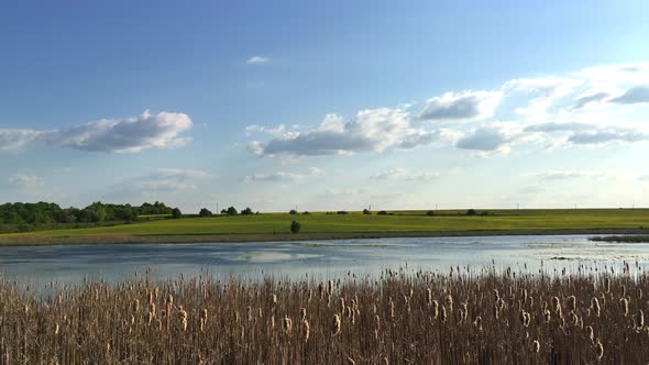 Panorama Of Nature At The River alt