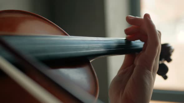Close-up of the violinist: Musician playing violin classic music