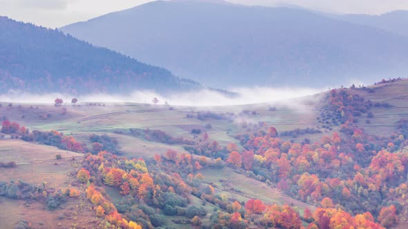 Morning Mist Over the Valley Among the Mountains in the Sunlight, Fog and Beautiful Nature  alt