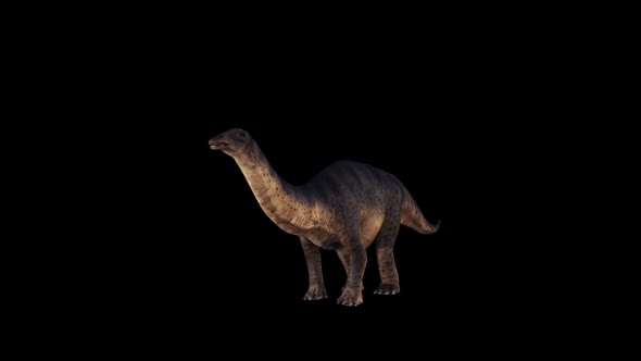 Dinosaur - Brontosaurus Idle alt