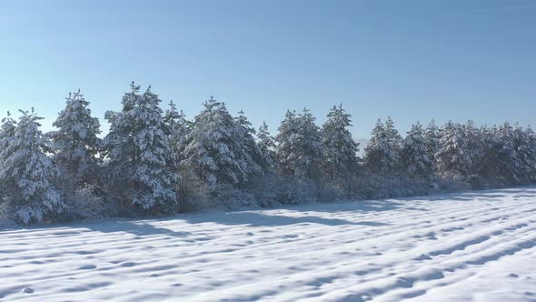 Morning sun shadows over the snowed field 4K aerial video alt