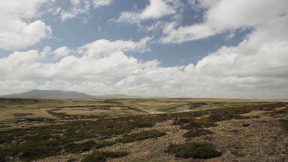 Typical landscape, East Falklands, Falkland Islands, South Atlantic. alt