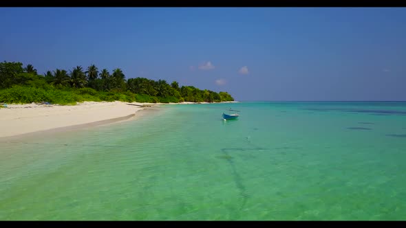 Aerial drone seascape of relaxing coast beach trip by blue water and white sand background of a picn alt