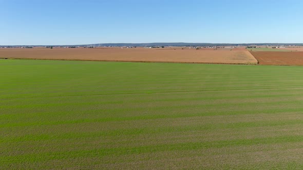 4K camera drone flying over a wheat crops field in rural area.