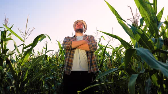 Bottom View of Young Man Farmer in Hat is Standing in Corn Field Looking Forward with His Arms alt