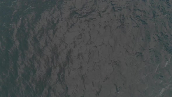 Top-down View of the Sea Waves alt