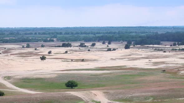 Desert in spring distant view with cloudy dark sky