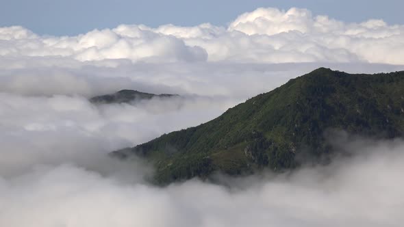Alpine Meadows at High Altitude Highlands alt