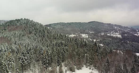 Forest Covered with Snow Aerial View. Aerial View of Village in Mountains alt