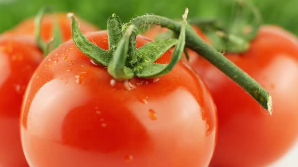 Cherry tomatoes close-up. Rotating on a green background Macro shot. Garden, gardening concept. alt