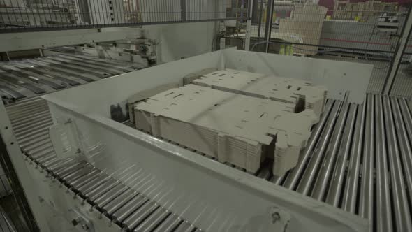 A Working Conveyor in a Paper Mill. Technology. Factory. Kyiv. Ukraine alt