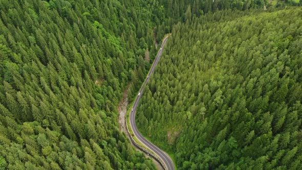 Aerial View of a Coniferous Forest Through Which a Winding Road Passes in the Mountains alt