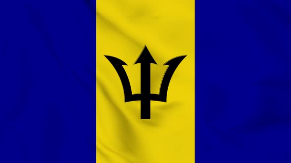 Barbados flag seamless closeup waving animation. Vd 2000