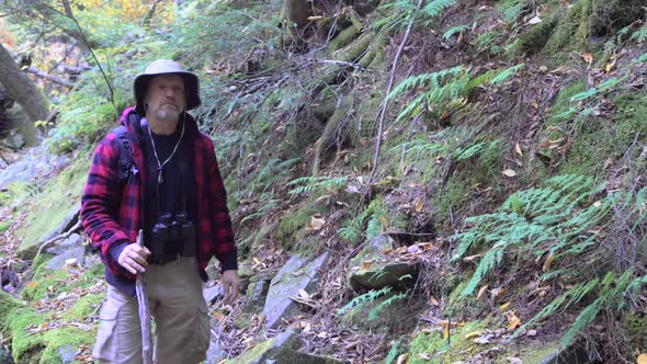 An older man going on a scenic hike through a forest in the mountains. alt