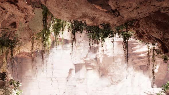 Inside a Limestone Cave with Plants and Sun Shine alt