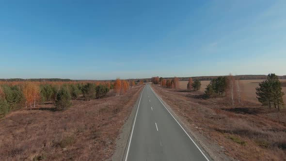 High-speed flight along the road and autumn forest