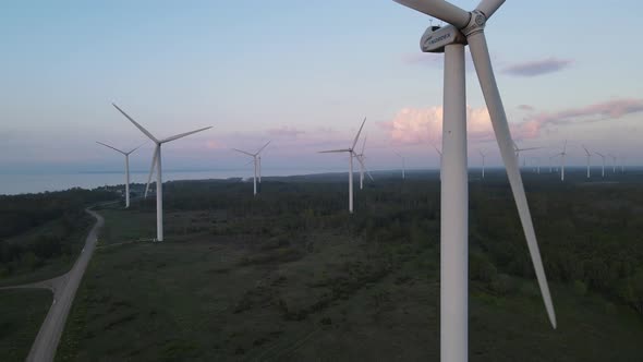 Wind turbine on sunset alt