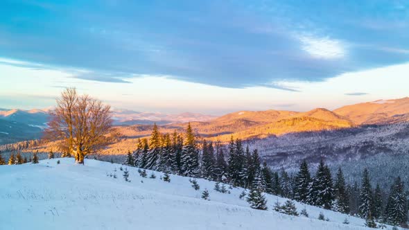 Sunrise over the Winter Mountain alt